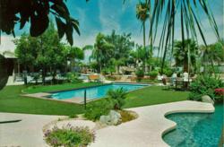 lawn cover,artificial grass,dog-friendly artificial grass,synthetic grass,dog--friendly landscaping,synthetic grass dealer,Iowa sythetic grass